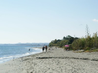 Holiday house Villa in Poggio-Mezzana near the Sea - Environment photo 32