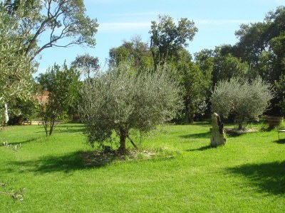 Holiday house Holiday Home in Corsica near the Beach - Outdoor photo 6
