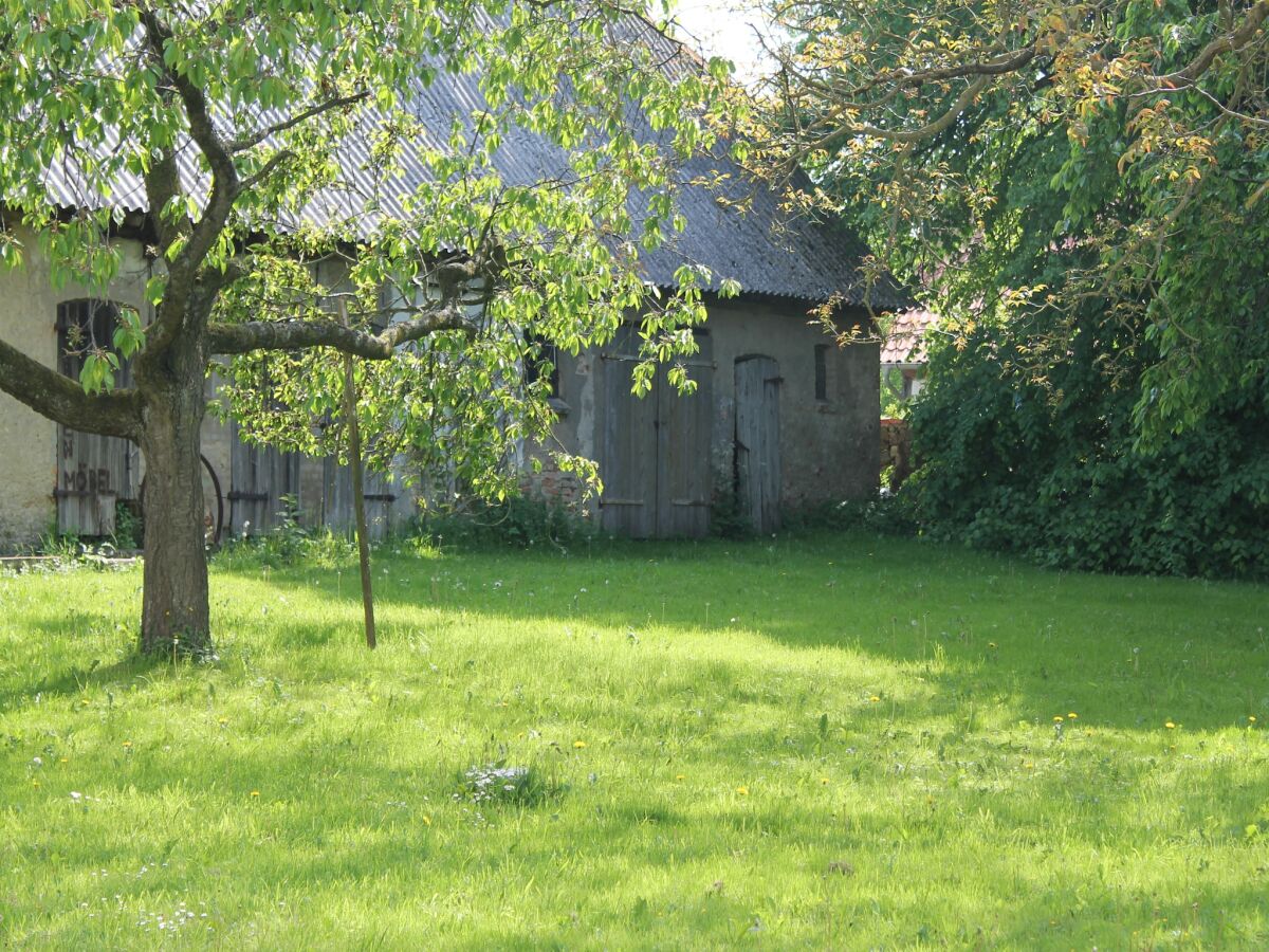 Apartment Kleine Ferienwohnung in Steffenshagen mit Garten - Outdoor photo 4