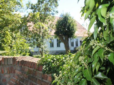 Apartment Kleine Ferienwohnung in Steffenshagen mit Garten - Outdoor photo 6