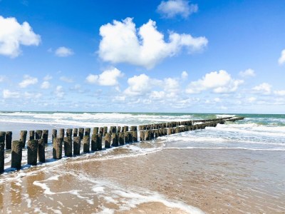 Holiday apartment Garden Suite Domburg DO49 - Environment photo 19