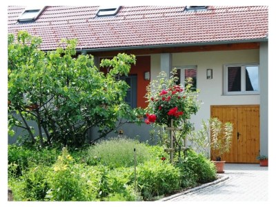 Apartment FEWO 2 Weinblüte - Outdoor photo 10