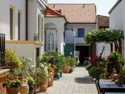 Holiday room Doppelzimmer mit Boxspringbett, Balkon (Zi 14) - Outdoor photo 2