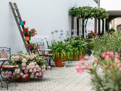Holiday room Doppelzimmer mit Boxspringbett, Balkon (Zi 14) - Outdoor photo 15