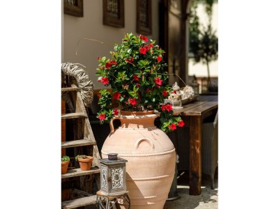 Holiday room Doppelzimmer mit Boxspringbett Hofseite (Zi 5) - Outdoor photo 11