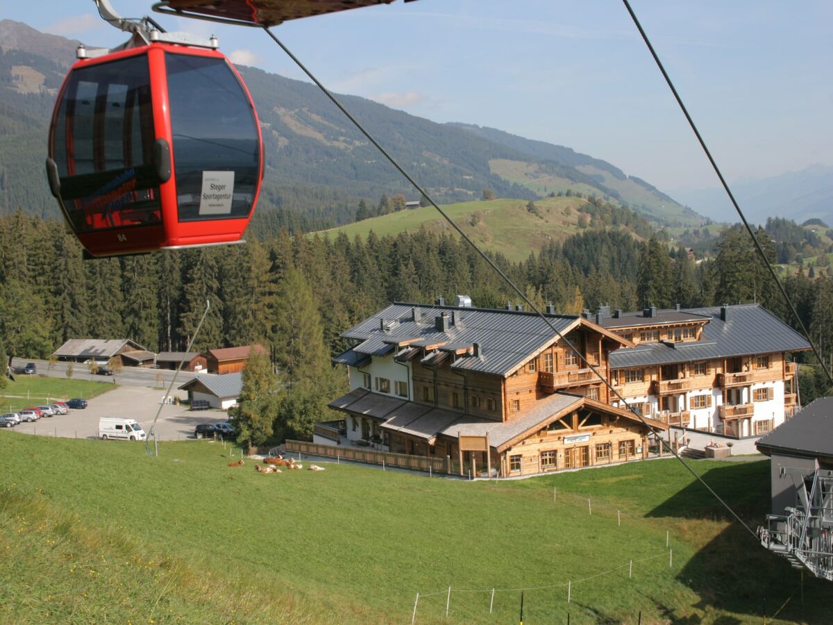 Apartment Apartment Mittersill near Ski Bus & Kitzbühel