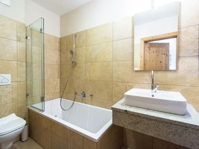 Apartment Apartment Mittersill near Ski Bus & Kitzbühel - Features photo 23