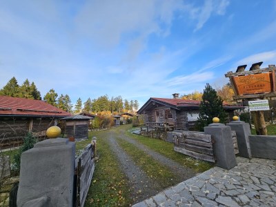 Chalet Blockhaus #10 - Environment photo 36