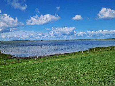 Apartment 5 star holiday home in Wendtorf - Outdoor photo 28