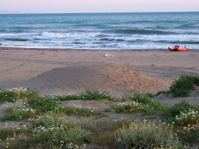 Apartment Appartamento Ancora al mare - Environment photo 28