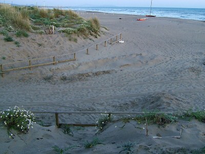 Apartment Appartamento Giannutri vicino al mare - Environment photo 31
