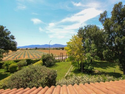 Chalet Casa Allegra nel Parco della Maremma - Environment photo 40