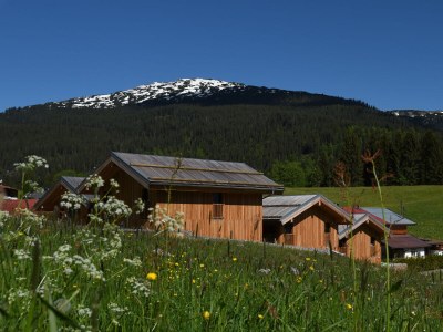Holiday house Villa Heuberg in Hirschegg - Holiday house