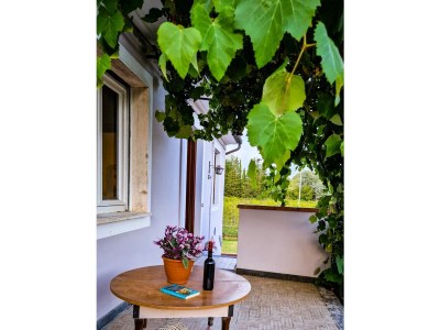 Holiday house The Wine House - Outdoor photo 7