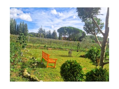 Holiday house The Wine House - Outdoor photo 10