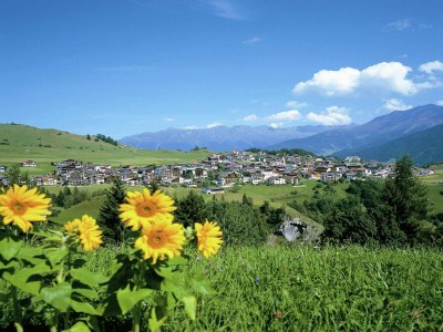 Apartment Apartment in Tyrol near Ski Slopes - Environment photo 29
