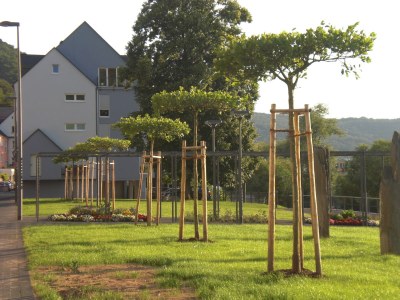 Holiday apartment "Am Bernkasteler Moselufer" - Outdoor photo 4