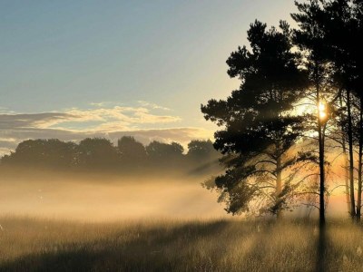 Holiday house Ferienhaus in Veluwe Ruhige Lage - Environment photo 25