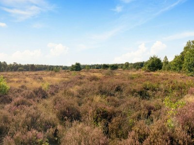 Holiday house Chalet in Voorthuizen bei Veluwe - Environment photo 24