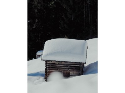 Holiday room Zimmer Nr. 2 "Alpenrebe" mit Dusche, WC - Outdoor photo 20