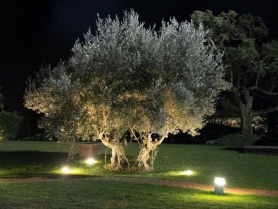 Villa Casa dei Limoni with pool - Environment photo 25