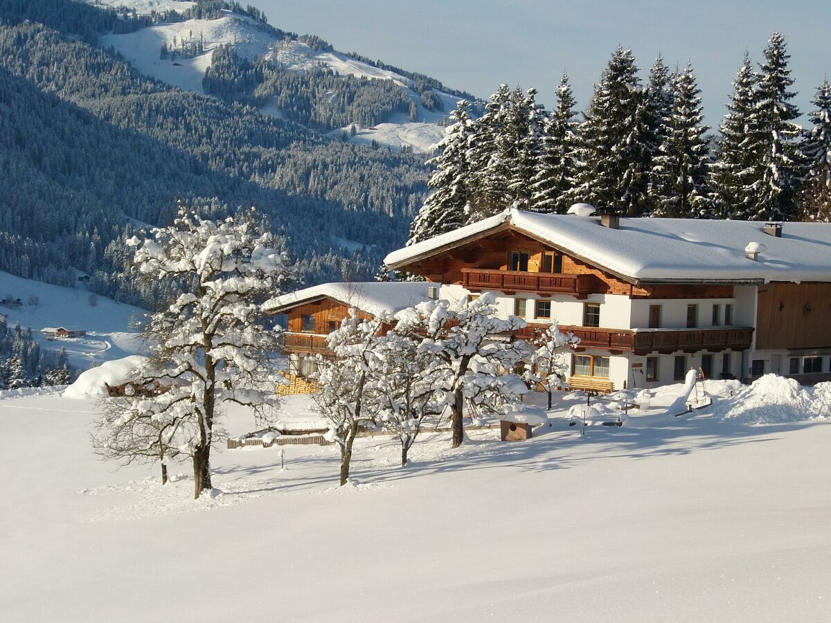Apartment Ferienwohnung Buchenstein