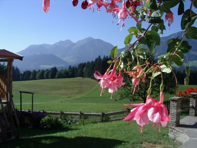 Apartment Ferienwohnung Spielberg - Outdoor photo 11