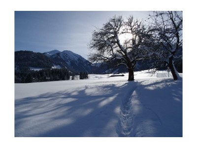 Apartment Karstein - Outdoor photo 6