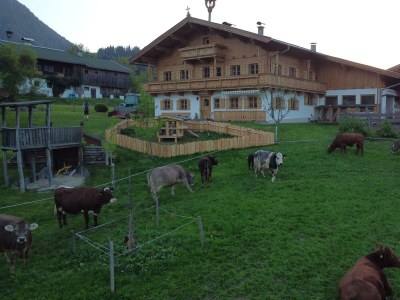Apartment Karstein - Outdoor photo 21