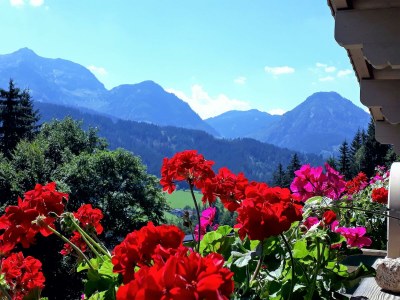 Apartment 3-5 Personenwohnung, 60 m², No.3, Heublume - Outdoor photo 15