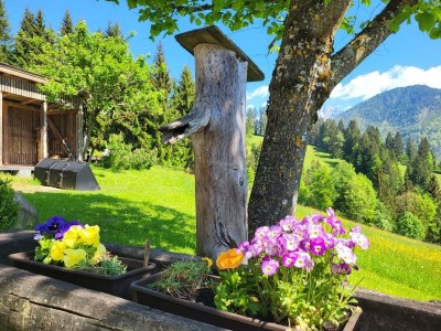 Apartment 3-5 Personenwohnung, 60 m², No.3, Heublume - Outdoor photo 25