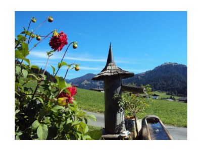 Apartment 2-3 Personenwohnung - Wildseeloderblick - Outdoor photo 9