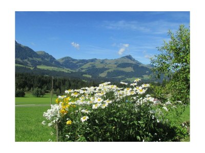 Apartment 2-3 Personenwohnung - Wildseeloderblick - Outdoor photo 14