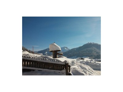 Apartment 2-5 Personenwohnung - Kitzbühler Horn - Outdoor photo 6