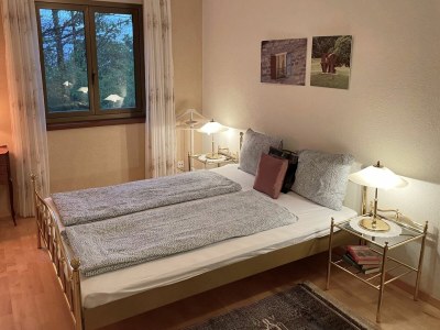 Holiday apartment Lago Maggiore - Outdoor photo 10