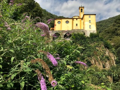 Holiday apartment Lago Maggiore - Outdoor photo 20