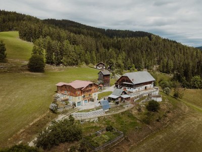 Holiday room Hauswiesenzimmer  (1-3 Nächte), mit Frühstück in St. Barbara im Mürztal - Wartberg - Holiday room