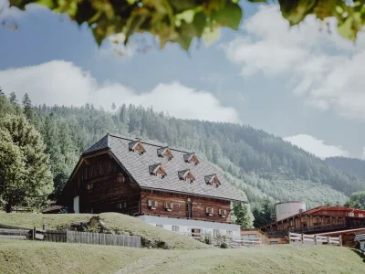 Holiday room Doppelzimmer "Jaga" in St. Lorenzen im Mürztal - Holiday room