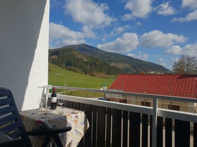 Holiday room Ferienwohnung mit 3 Zimmern in Aflenz - Holiday room