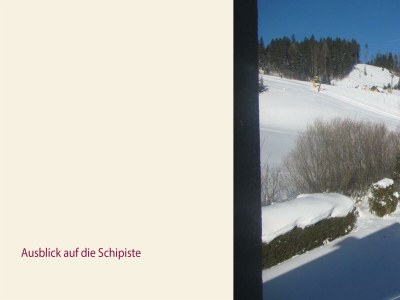 Apartment Appartement 2 FH "Erlaufsee" - Outdoor photo 12