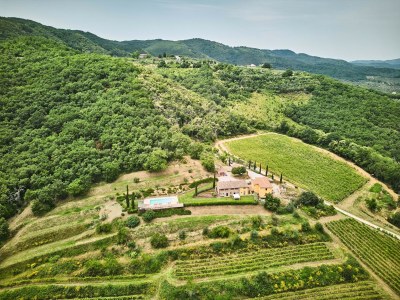 Villa Farmhouse in Chianti with Pool and Garden - Outdoor photo 7