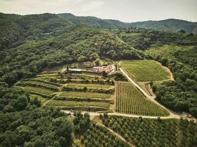 Villa Farmhouse in Chianti with Pool and Garden - Outdoor photo 8