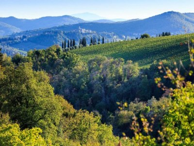 Villa Ruhiger Rückzugsort im Chianti - Environment photo 33