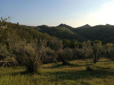 Villa Ruhiger Rückzugsort im Chianti - Environment photo 36