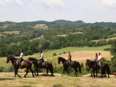 Villa Tranquil Chianti Escape for 4 - Environment photo 22