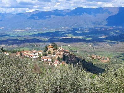 Villa Tranquil Chianti Escape for 4 - Environment photo 27