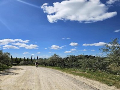 Villa Tranquil Chianti Escape for 4 - Environment photo 32