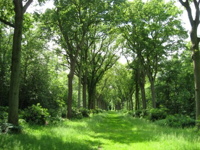 Holiday house Cardium 12 - Environment photo 19