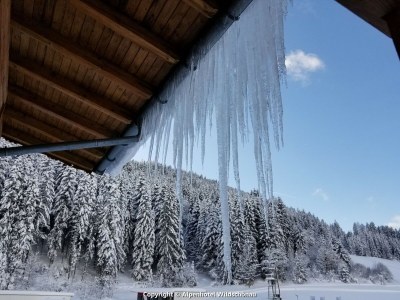 Apartment Holiday Flat Oberau near Ski Slopes - Outdoor photo 7