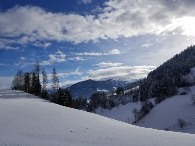 Apartment Holiday Flat Oberau near Ski Slopes - Environment photo 33